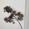 Artificial purple asparagus fern spray branch for home decor and floral arrangements - Deep purple