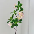 Rama de Pittosporum artificial impresa en 3D con flores falsas rosas y blancas - Rosa