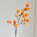 Einzelner Zweig künstlicher Physalis mit orangefarbenen Lampionfrüchten für Deko - Hellorange