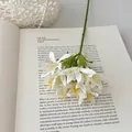 Künstlicher weißer Schmucklilien-Strauß aus Seide mit gelben Staubblättern auf Buch - Weiß