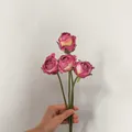 Artificial rose bouquet with 4 pink purple stems held in hand for retro home decor - Rose Red
