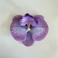 Kunstmatige paarse orchidee bloemknop met realistische aders en stippen voor DIY-decoratie - Rookpaars