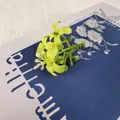 Branche de fleur d'osmanthus artificielle vert vif pour la création de bijoux DIY - Vert