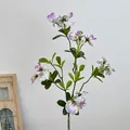Einzelstiel-Wickenblüte in lila Farbverlauf mit grünen Blättern für die Heimdekoration - Farbverlauf Lila