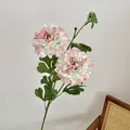 Artificial white and green ranunculus branch with pink edges for home decor - White Edge Pink