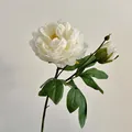 Pivoine artificielle crème avec pétales réalistes et feuilles pour décoration d'intérieur - Blanc