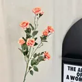 Tak van kunstmatige roze en abrikooskleurige rozen met meerdere koppen voor decoratie - Oranje