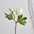Tige de pivoine blanche artificielle élégante avec fleur épanouie et petit bouton - Blanc