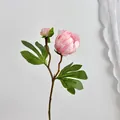 Branche de pivoine artificielle rose avec deux têtes de fleurs réalistes sur fond blanc pur - Rose