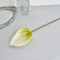 Anturio artificial blanco y verde con textura realista de impresión 3D en PU - Blanco Verde