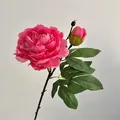 Tige de pivoine en soie rose avec une fleur épanouie et des feuilles réalistes - Rose rouge