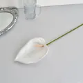 Flor de anturio artificial blanca impresa en 3D con tallo verde realista sobre mesa - Blanco