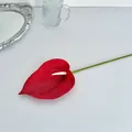 Anturio rojo impreso en 3D con espádice blanco en una decoración de mesa moderna - Rojo