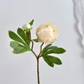 Stelo di peony artificiale crema con testa aperta e bocciolo per decoro domestico - Champagne