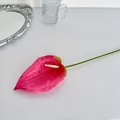Anthurium artificiale rosa acceso con spadice bianco per decorazione d'interni elegante - Rosa con Bordo Verde