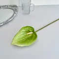 Anthurium artificiale verde in stampa 3D con foglie realistiche e spadice bianco naturale - Verde