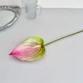 Fiore di anthurium artificiale realistico con sfumatura rosa e verde per la casa - Rosa Rosso