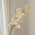 Single stem of 3D printed creamy white artificial butterfly orchid with realistic details - Champagne