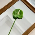 Artificial green Anthurium flower with heart-shaped leaf and realistic texture on mirror - Dark Green