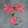 Single stem of pink faux flame orchid with five realistic petal heads and green leaves - Red