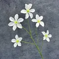 Einzelner Zweig weißer künstlicher Clematis mit fünf Blüten auf dunkelgrauem Steinboden - Weiß