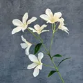Single branch of white artificial flame orchid with six heads for home decor - Champagne