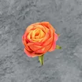 Künstlicher Rosenkopf mit orange-gelbem Farbverlauf für Hochzeit und Dekoration - Orangerot