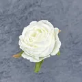 Eleganter elfenbeinweißer künstlicher Rosenkopf mit realistischen Blüten für DIY-Deko - Weiß
