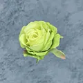 Artificial avocado green silk rose head with green leaf for DIY wedding home decor - Green