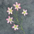 Fiore di Clematide artificiale a cinque teste con sfumatura rosa e bianca calda - Rosa