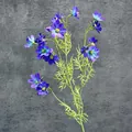 Künstliche Kosmos-Blumenzweige mit dunkelblauem und lila Farbverlauf für die Dekoration - Violettblau