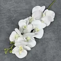 Artificial white phalaenopsis orchid with 9 heads and realistic green flower buds - White (No. 1)