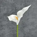 Single white artificial Calla Lily with orange stamen and green stem on grey background - White