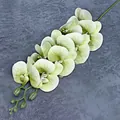 Artificial 9-head light green moth orchid branch with realistic petals for home decor - Light Green (No. 2)