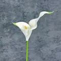 Elegant single white EVA calla lily with green tips and yellow spadix for home decor - White Green Tip