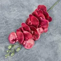 Single stem of 9-head burgundy phalaenopsis orchid with realistic film texture flowers - Dark Red (No. 3)