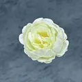 Tête de pivoine artificielle blanc crème en soie pour décoration de mariage et DIY - Blanc