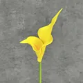 Lifelike bright yellow EVA calla lily artificial flower with green stem for decoration - Yellow