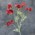 Einzelner Zweig roter künstlicher Kosmos-Blumen mit grünen Blättern auf dunklem Grund - Rot