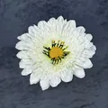 White artificial daisy flower head with yellow center and text for DIY hair accessories - White
