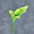 Single green EVA calla lily stem with white edges for home and wedding decor - Green
