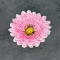 Single pink artificial daisy flower head with yellow center on dark stone background - Pink