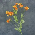 Leuchtend orangefarbene künstliche Kosmosblumen mit 21 Köpfen für Heimdekoration - Orange
