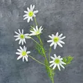 Artificial white daisy bouquet with six flower heads and green leaves on grey background - White