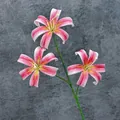 Künstliche 3-köpfige Lilie mit rosa-weißem Farbverlauf für die Innendekoration - Dunkelrosa
