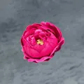 Artificial deep pink peony flower head with fabric petals for DIY wedding decor - Rose Red