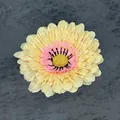 Yellow and pink artificial Gerbera daisy flower head for DIY crafts and decor - Champagne
