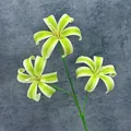 Branche de lis artificiel avec trois têtes de fleurs rayées vert et crème pour décor - Vert