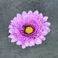 Artificial purple daisy flower head with yellow center for DIY hat and hair decor - Purple