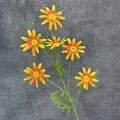 Artificial 6-head yellow and orange gradient silk daisy flower spray for home decor - Orange